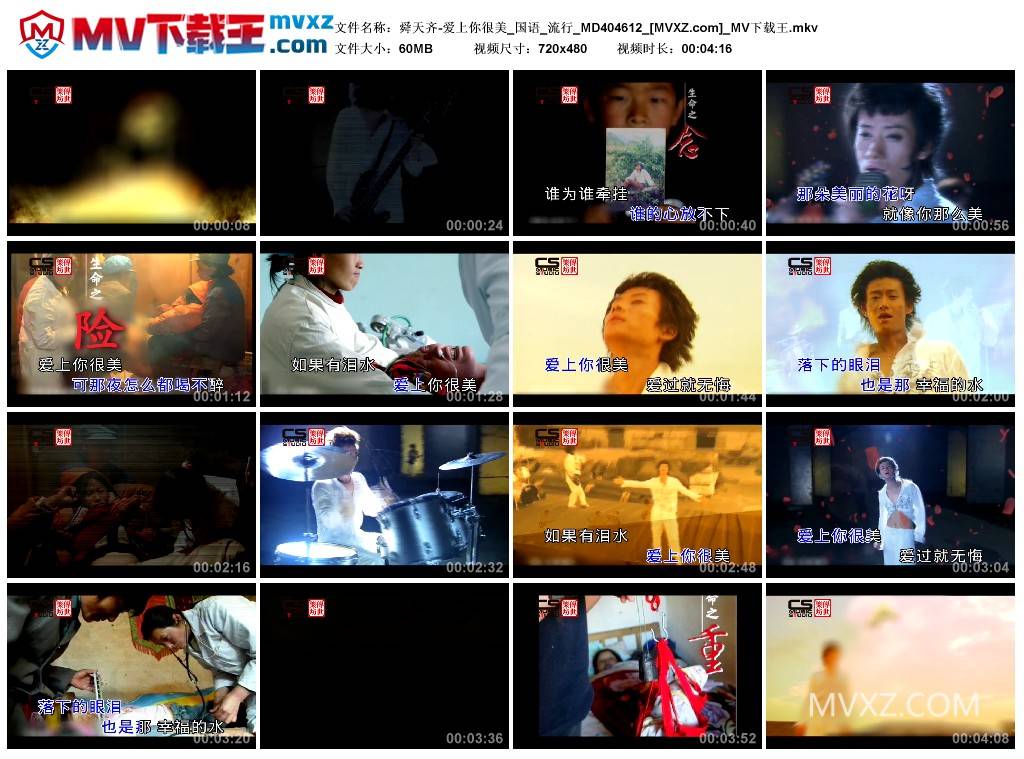 舜天齐-爱上你很美_国语_流行_MD404612
